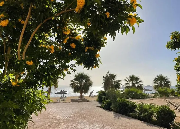 Studil For Rent In The View 608 Apartment Hurghada